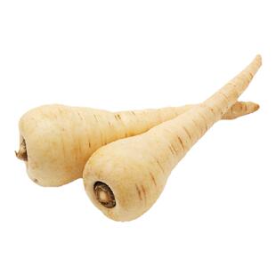 【沁蕊】新鲜防风根500g 白胡萝卜parsnip  欧洲萝卜