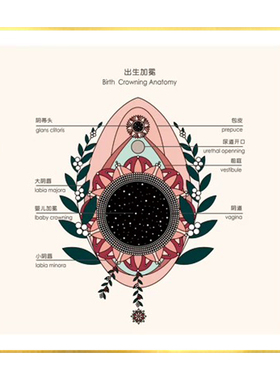 多款生殖解剖私密艺术挂画月子中心产康店私密养护产后修复装饰画