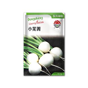 小芜菁樱桃水果萝卜种子四季可种植白萝卜种籽萝卜籽蔬菜种孑