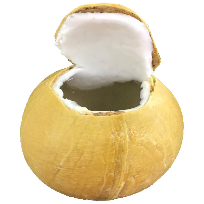 泰国椰皇新鲜热带孕妇水果牛奶嫩椰青