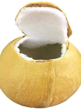 泰国椰皇新鲜热带孕妇水果牛奶嫩椰肉椰王老椰子6/8个顺丰包邮
