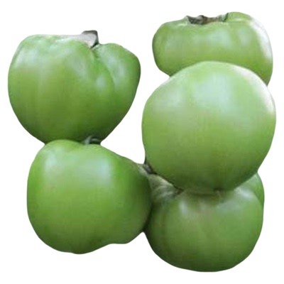 青番茄青西红柿现摘现发