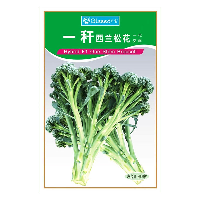 花球松散爽脆香甜西兰松花菜种子