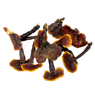 纯野生西藏林芝地区灵芝整朵正品干货 金边 非孢子粉  500g礼盒装