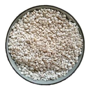 宁化糯薏米仁2025年新米薏仁米意薏苡仁新鲜无霉味福建软糯小薏米