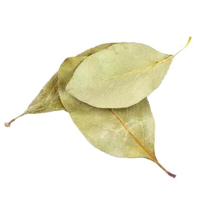 香叶500g月桂香料调料大全卤炖肉另售特级小茴香八角花椒桂皮草果