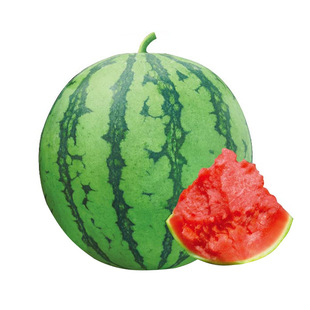 小西瓜种子种籽懒汉黄皮甜王无籽孑南方籽种嫁接麒麟8424苗秧大全