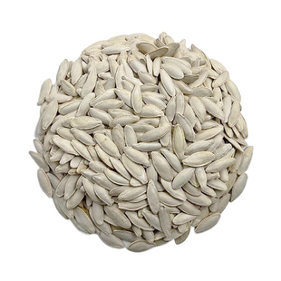 美人甲生南瓜子长粒大白新货新鲜生南瓜籽内蒙美甲原味现炒南瓜籽