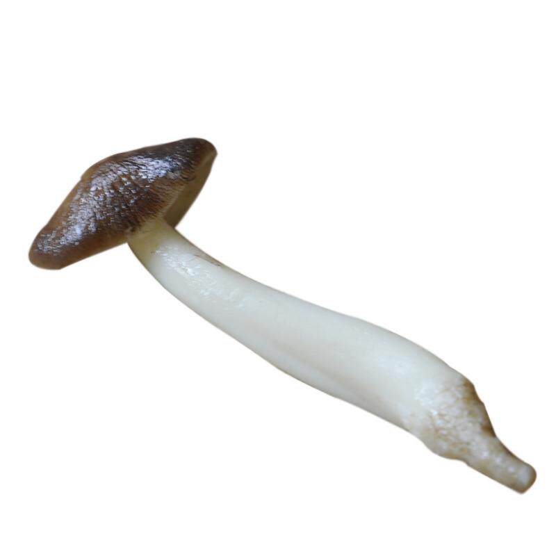 仿真口蘑鹿茸菇香菇草菇