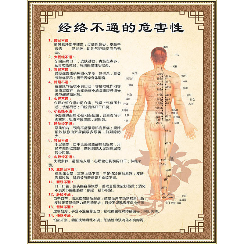 人体经络海报高清覆膜