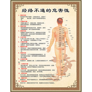 人体经络穴位标准大图挂图全身高清中医养生艾灸推拿按摩背部针灸