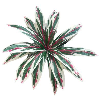 高仿真绿色蕨类植物装饰造景