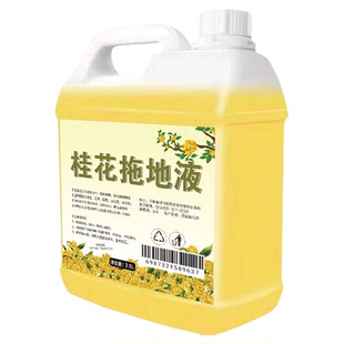 拖地专用清洁液持久留香洗地清洁液瓷砖地板去油污增亮抛光无水印