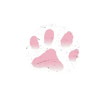 猫咪猫爪温变彩色纹身贴体温变色可爱萌宠手臂手背学生可洗贴纸