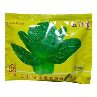 长征五月慢青菜种子籽耐寒上海青