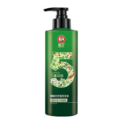 霸王侧柏叶洗发水500ml×1瓶
