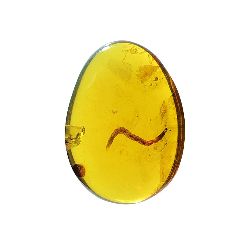 纯天然琥珀虫珀昆虫化石吊坠项链