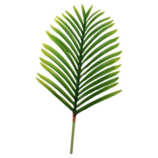 仿真铁树叶绿植散尾葵叶客厅婚庆装饰假树叶假铁树叶假散尾葵叶