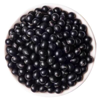 东北黑龙江农家新货黄芯小黑豆非转基因打豆浆生豆芽粗粮杂粮