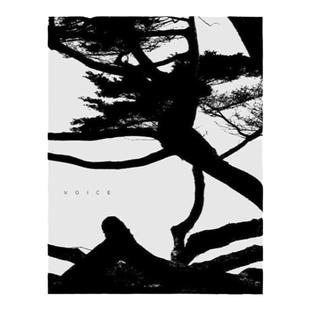 预售 李俊金:声音 Jungjin Lee:Voice 英文原版图书外版进口书籍 摄影画册  华源时空