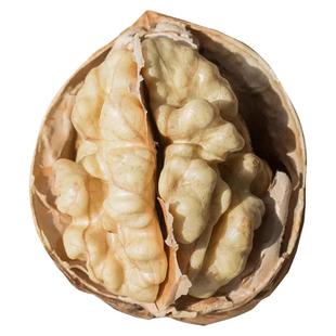 新疆阿克苏纸皮核桃孕妇专用2024新货薄皮生核桃原味奶油烤熟核桃