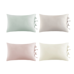 音色家居100支天丝枕头套单个冰丝枕套48cmx74cm裸感丝滑高级夏凉