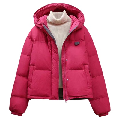 2025冬季新款韩版撞色连帽羽绒服男女款学生宽松短款加厚保暖外套