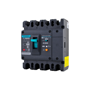 TENGEN天正TGM1NL-250A塑壳漏电断路器 三相四线漏电开关总闸250A