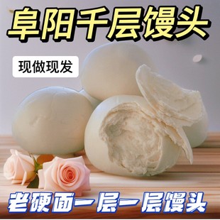 阜阳临泉巨东老面馒头手工传统中式发酵优选劲道制作