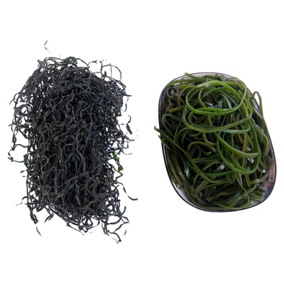 荣成海带丝干度高泡发率高商用