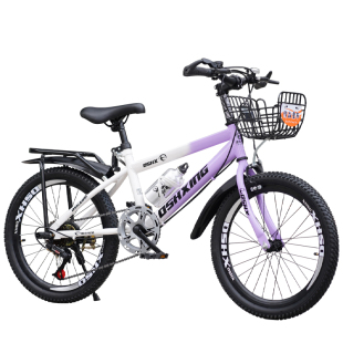 儿童自行车公主款中大童6岁8-10-12岁男女孩20寸山地新款脚踏单车