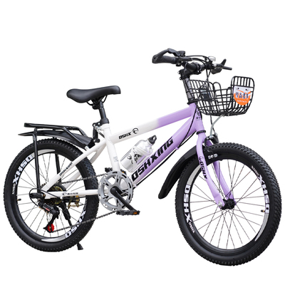 儿童自行车公主款中大童6岁8-10-12岁男女孩20寸山地新款脚踏单车