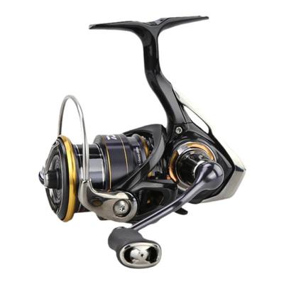 飞鸽25款/LEGALIS23款21款