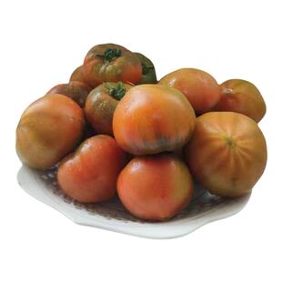 新鲜上市草莓西红柿黛戴安娜蜂柿水果铁皮柿子现摘番茄海阳自然熟