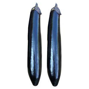 嫁接的茄子种子苗大全带土蔬菜四季菜苗秧苗本地茄苗长茄种籽孑秧