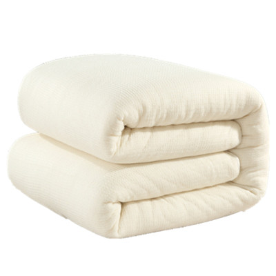 棉絮棉被学生宿舍床垫保暖被子被芯春秋单人垫被双人冬被加厚褥子