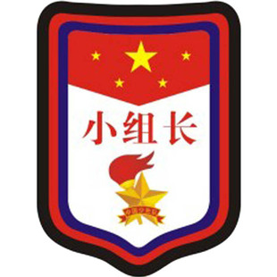 小组长牌子幼儿园胸牌大号标志小学生组长牌袖标订做袖章徽章定制