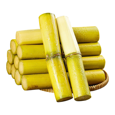 【精选中段】广西黄金甘蔗！脆甜