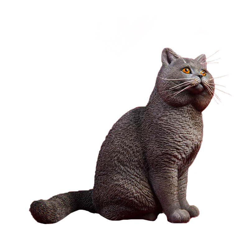 【JXK】英国短毛猫模型手办