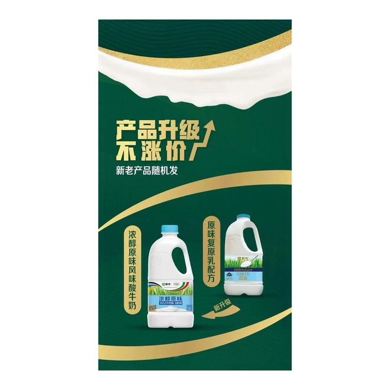 蒙牛风味酸奶1.1kg酸奶风味发酵乳原味1.1kg*2桶水果捞用酸奶