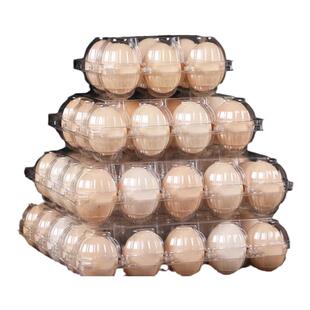 一次性透明鸡蛋托10枚鸡蛋托盒塑料鸭蛋托鹌鹑蛋托鸽子包装盒蛋托