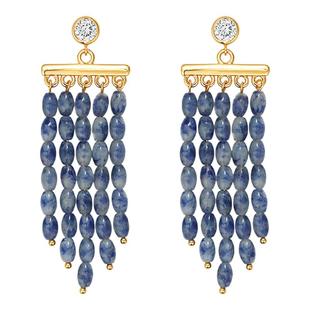 Exhibition/览物馆流苏耳环女纯银小众设计感耳坠水钻耳挂耳饰