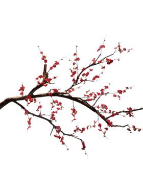 仿真梅花树红梅花腊梅树干树枝
