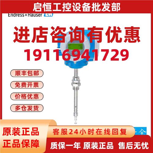 议价eh热式质量流量计6I3BL2-AAN1/0恩德斯豪斯I300液体测量变送