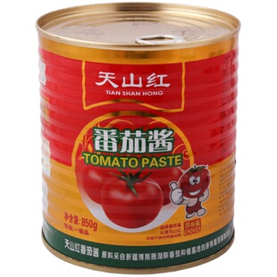 tomato paste 天山红番茄酱850g 调味酱