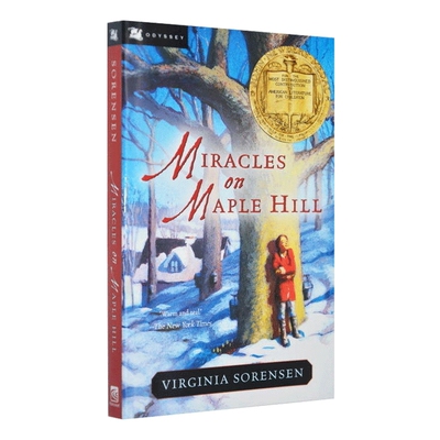 枫树山的奇迹儿童文学小说