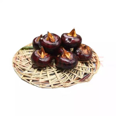 马蹄荸荠新鲜大果不带泥