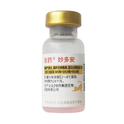 猫疫苗国产猫三联成幼猫鼻支