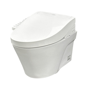 TOTO小户型壁挂马桶CW822EB+4F360隐藏挂墙坐便器(04-C+02)