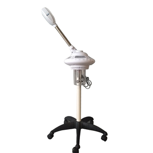 蓝琦中草药单双管冷热喷美容院离子喷雾机家用蒸脸器补水保湿仪器